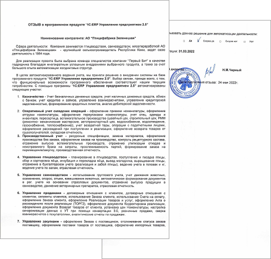 отзыв внедрение erp
