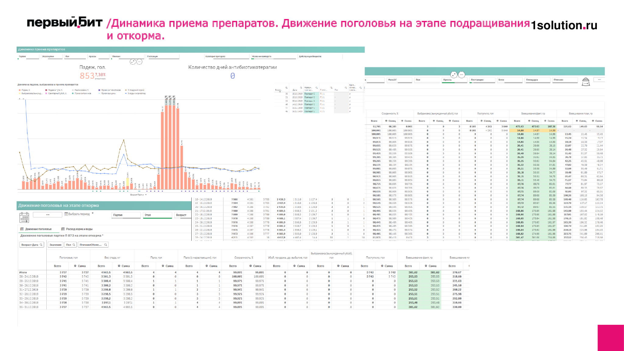 Динамика приема препаратов. Движение поголовья на этапе подращивания и откорма