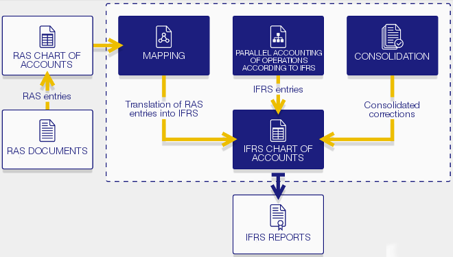 Report formation according to IFRS
