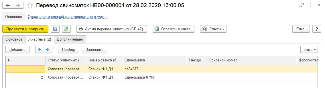 Перевод свиноматок