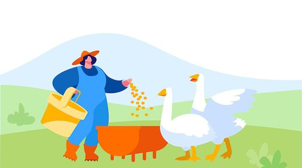 Птицеводческое предприятие