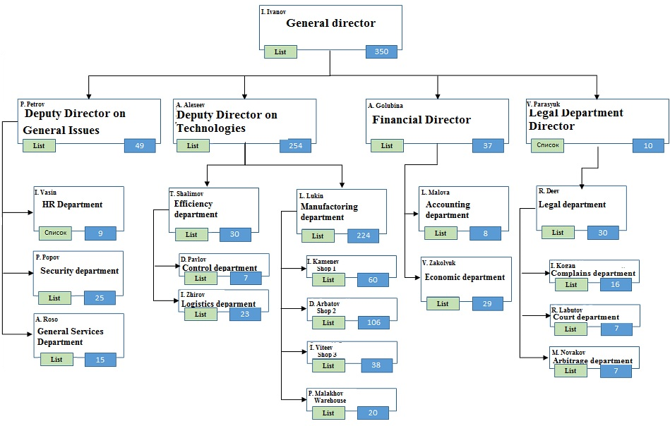 The company’s organizational structure The company’s organizational structure
