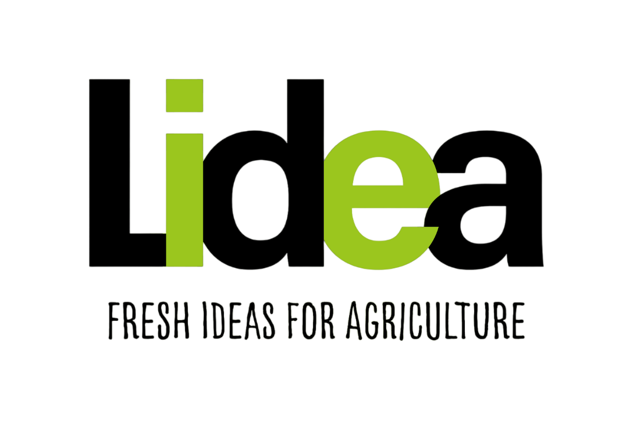 Обновление и сопровождение нетиповой 1С:ERP в «ЛИДЕА РУС»