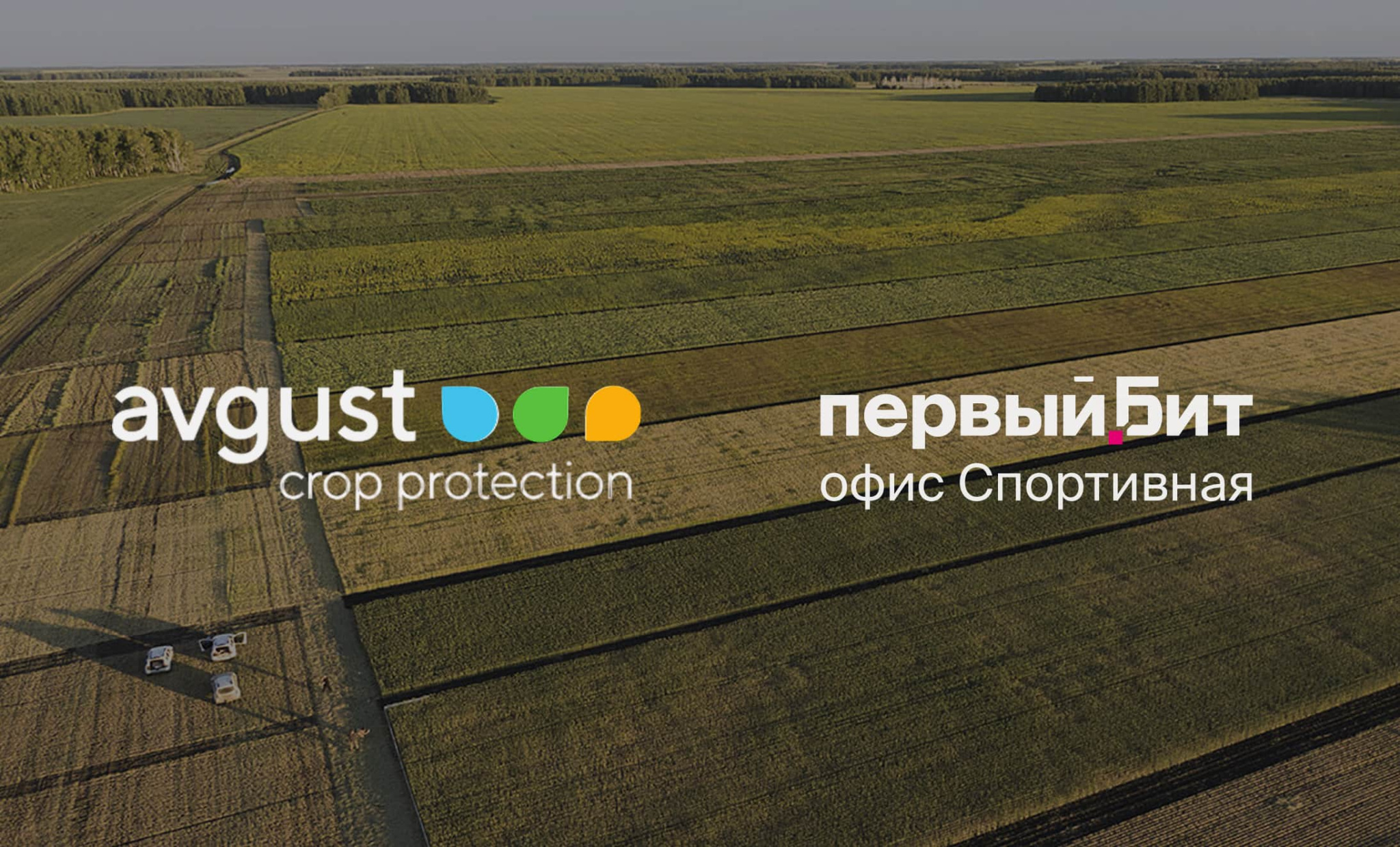 «Первый Бит» разработал комплексную информационную систему для «ТМС Групп»