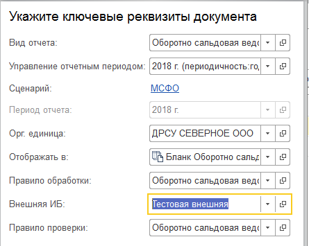Настройки бланка экземпляра отчета