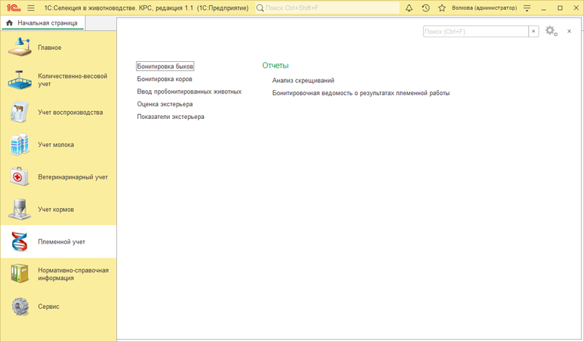 Племенной учет в 1С:Селекция в животноводстве. КРС