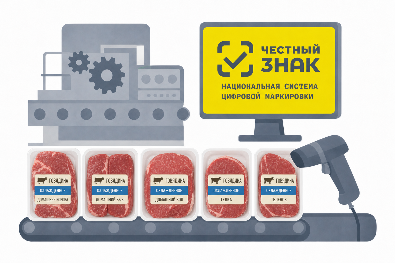 внедрение маркировки честный знак для мяса крупного рогатого скота